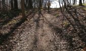 Percorso Marcia Assesse - Sart Bernard - Andenne Rando 18 - Photo 2