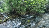 Trail Walking Saint-Jean-de-Buèges - St Jean de Buèges Pégayrole - Photo 3