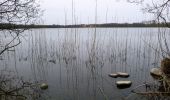 Tour Zu Fuß Barkelsby - Wanderroute Hemmelmark - Mohrberg - Borby - Photo 2