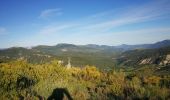 Tocht Stappen Montauban-sur-l'Ouvèze - Montagne de Chamouse - Photo 2