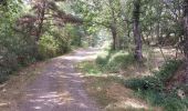 Excursión Senderismo Saint-Nectaire - TOUR DU PUY D' ERAIGNE DEPUIS LE CAMPING 