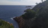 Randonnée Marche Ramatuelle - Sentier du littoral - Photo 19