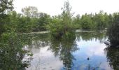 Tour Wandern Mareuil-Caubert - Au travers des étangs  - Photo 2