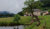Trail Walking Girmont-Val-d'Ajol - herival - Photo 18