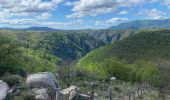 Trail Walking Pied-de-Borne - Le tour du chassezac - Photo 9