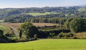 Tocht Stappen Verneuil-sur-Vienne - la Merlie - Photo 3