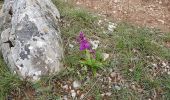 Randonnée Marche Le Caylar - Le Caylar - Le Cros - La Couvertoirade - Photo 19