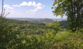 Randonnée Marche Beure - mercureau - fontain - arguel - Photo 11