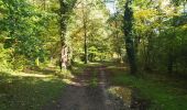 Randonnée Marche Anhée - Haut-le-Wastia - Salet - Foy - Montaigle - Photo 5