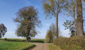 Percorso Marcia Chastre - Gentinnes, via chapelle de l'Hermitage - Photo 4
