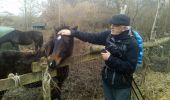 Tocht Stappen Chevreuse - Chevreuse sans le chateau de la MADELEINE - Photo 2