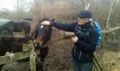 Trail Walking Chevreuse - Chevreuse sans le chateau de la MADELEINE - Photo 2