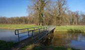 Tour Zu Fuß Bronckhorst - Ockhorstroute - Photo 6