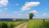 Trail Walking Comblain-au-Pont - oneux . hoyemont . chambrale . oneux  - Photo 10