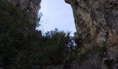 Tocht Stappen Toulon - Faron côté nord  - Photo 14