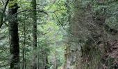 Randonnée Marche Fanlo - Pyrénées 2023 Jour 9 - Canyon d'Anisclo - Photo 11