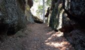 Trail Walking Haegen - La Hoube/Kempel - Photo 3