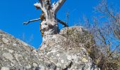 Trail Walking Vieux-Thann - Rando Marcheurs..27/03/2025.. - Photo 5