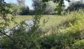 Tocht Stappen Vouthon - De Vouton en passant par Montbron avec retour par La Fenêtre  - Photo 3