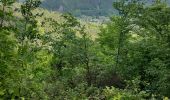 Tour Wandern Windstein - Windstein - Photo 2