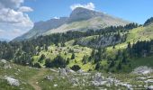 Tour Wandern Châtillon-en-Diois - Vallon de Combau  - Photo 2