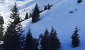 Excursión Esquí de fondo Le Dévoluy - vallon froid bis - Photo 3