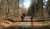 Trail Horseback riding Fougerolles-Saint-Valbert - Balade 1h vers chez le poix - Photo 6