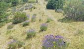 Tocht Stappen Rosans - GRP Baronnies Rosans Rémuzat 19km - Photo 2