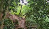 Trail Walking Bon Repos sur Blavet - Tour de l'Abbaye de Bon Repos - Photo 17