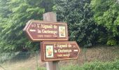 Tour Wandern Montmorillon - Montmorillon boucle - Photo 2