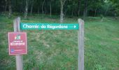 Trail Walking La Bastide-Puylaurent - de la bastide puylaurent à villefort gr700 - Photo 8