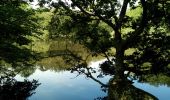 Tour Wandern Poigny-la-Forêt - Poigny la forêt - Photo 3