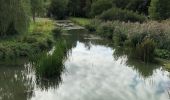 Tour Wandern Rouvroy - La Charmouthienne_boucle_Torgny_16km_2019-09-08 - Photo 13