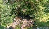 Tocht Stappen Villard-Saint-Sauveur - cascade de flumen - saut du chien - retour en partie par la route  - Photo 7