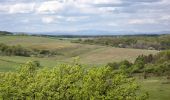 Tour Zu Fuß Agtelek - Zöldhatár tanösvény (Aggtelek-Domica) - Photo 10