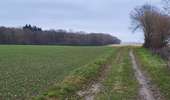 Trail Walking Gembloux - Sauveniere 050226 - Photo 6