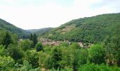 Trail Walking Molompize - Cantal - Molompize - Aurouze et Suc de Védrines - 17.7km 770m 7h05 - 2019 07 02 - Photo 9