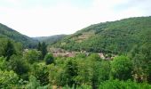 Percorso Marcia Molompize - Cantal - Molompize - Aurouze et Suc de Védrines - 17.7km 770m 7h05 - 2019 07 02 - Photo 9