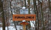 Trail On foot Straubenhardt - Wilhelm-Ganzhorn-Weg - Photo 4