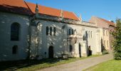 Tour Zu Fuß Görzke - Naturparkrundwanderweg 61 - Photo 1