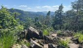 Tocht Stappen Ottenhöfen im Schwarzwald - Karlsruher Gray - Photo 5