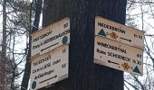 Randonnée Marche Niederbronn-les-Bains - Grand Wintersberg & plan d'eau Wolfartshoffen - Photo 12