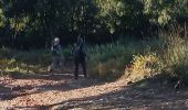 Trail Walking Draguignan - le malmont  - Photo 1