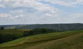 Tour Wandern Pepinster - 20230612 - Cornesse 5.9 Km - Photo 17