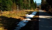 Percorso A piedi Baiersbronn - Seibelseckle - Schönmünzach - Photo 4