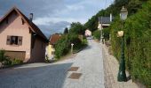 Trail On foot Walschbronn - Anneau bleu - Photo 9