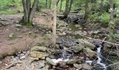 Trail Walking Jalhay -  Boucle de Charneux 17 Km  - Photo 16