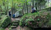 Tour Wandern Mollkirch - Sentier des demoiselles de pierre / Molkirch - Photo 2