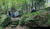 Trail Walking Mollkirch - Sentier des demoiselles de pierre / Molkirch - Photo 2