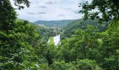 Trail Walking Vresse-sur-Semois - Allesur Semois 020625 - Photo 20